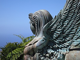 马德拉,岛,海