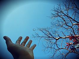 手,天空,性質(zhì)
