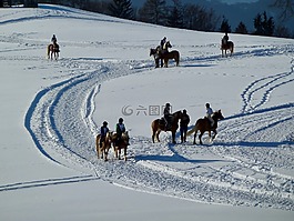 雪,山,馬