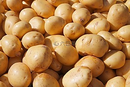 馬鈴薯,粗麥片,谷物