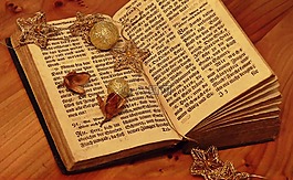 本書,圣經(jīng) 》,書頁