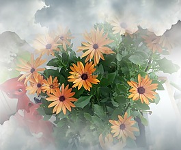 花束,鮮花,橙