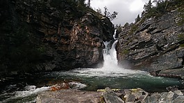 大瀑布,山,森林