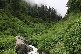 景觀,谷,自然