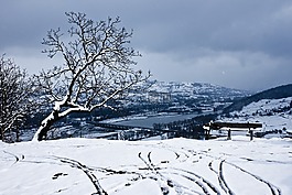 雪,景觀,性質(zhì)