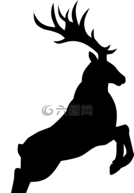 馴鹿,動(dòng)物,野生動(dòng)物