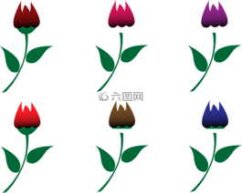 玫瑰,花,多彩