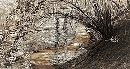性質(zhì),水,景觀