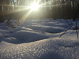 冬天,雪,太陽(yáng)