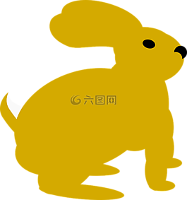兔子,兔,哺乳動物