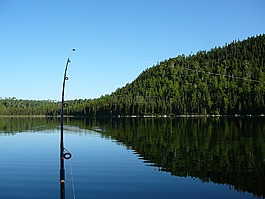 捕魚,水,藍(lán)色