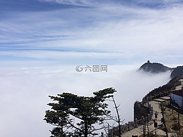 云海,山,仙境