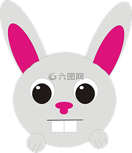 動物,兔,頭