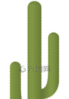 仙人掌,植物,沙漠