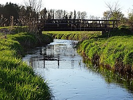性質(zhì),過(guò)獨(dú)身生活,水