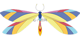 動物,蜻蜓,昆蟲
