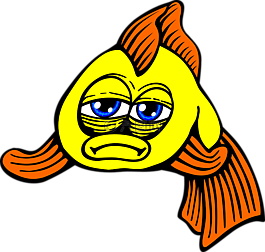 魚,傷心,金魚