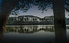 緬甸,湖,樹木