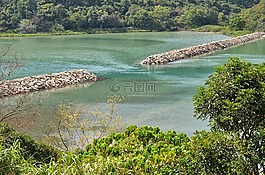 河,壩,榕樹