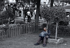 花園,社會,貧困