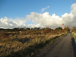 沙丘,燈塔,新西蘭