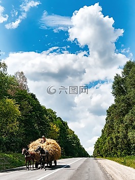 馬,教練,干草