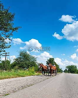 馬,教練,道路