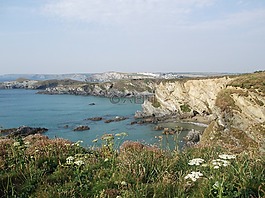 懸崖,夏天,海岸