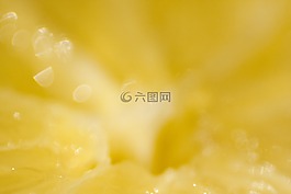 黃色,檸檬,水果