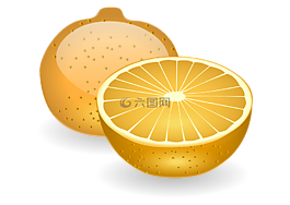 橙色,水果,片