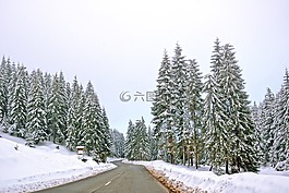 雪,冬天,木材