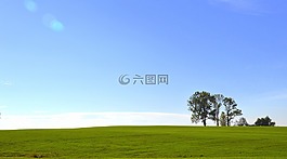 字段,景觀,天空