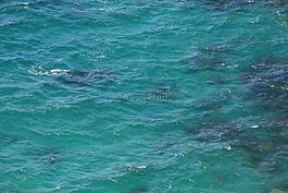 英國,海,波