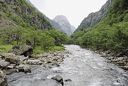河,景觀,流