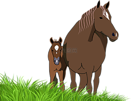 駒,馬雷,馬