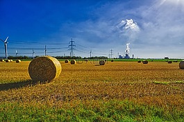 秋季,秸稈,農(nóng)業(yè)