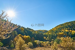 山,樹,秋