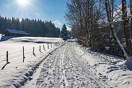 冬天,冬季的方式,雪