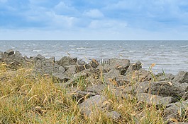 海岸,立场,北海