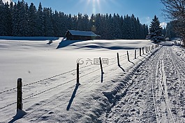 冬天,冬季的方式,雪
