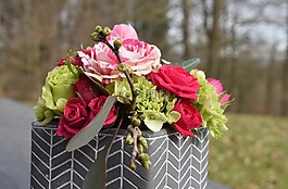 花,性質(zhì),裝飾