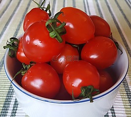 蕃茄,蔬菜,紅色