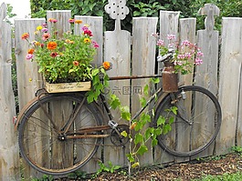 不銹鋼,自行車,花園