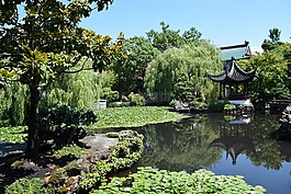花園,正念,冥想