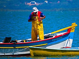 漁,船,海