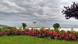 pamukalle,土耳其,鮮花