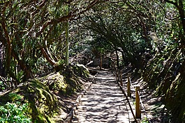 線索,離,路徑
