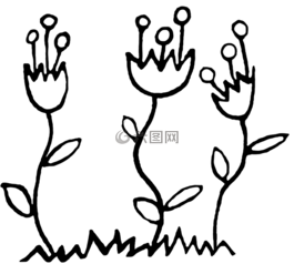 花,铭文,装饰的