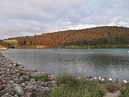 性質(zhì),水,湖