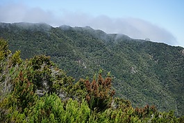 ananagebirge,觀點,特內里費